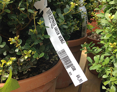 Garden and plantings ribbon button