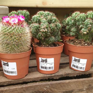 Plant Nursery and horticulture Label